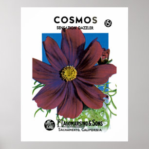 Kosmos Poster