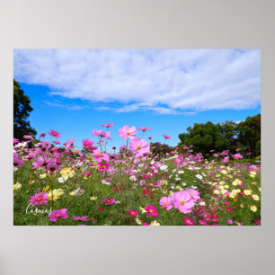 Kosmos [Poster] Poster