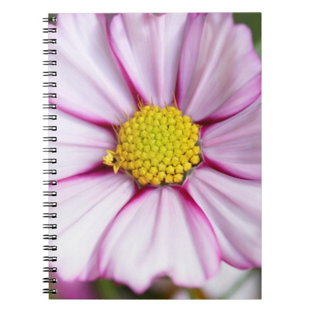 Kosmosblomma (bidens formosa) anteckningsbok (Framsidan)