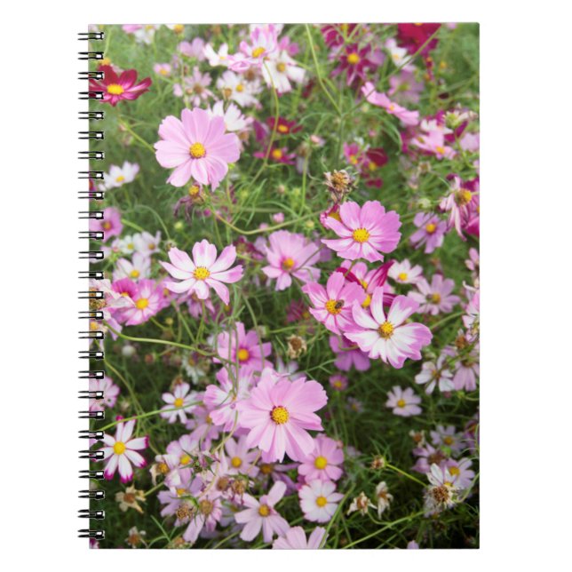 Kosmosblomma (Bidens Formosa). Kirkwood Anteckningsbok (Framsidan)