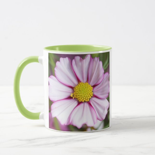 Kosmosblomma (bidens formosa) mugg (Vänster)