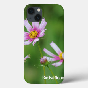 Kosmosblommor