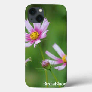 Kosmosblommor
