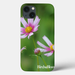 Kosmosblommor