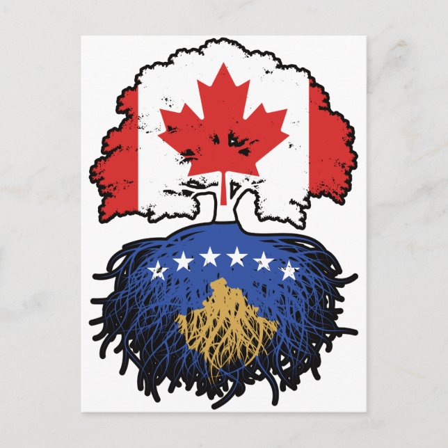 Kosovo Kosovo Canadian Canada Träd Roots Flagga Vykort (Framsida)