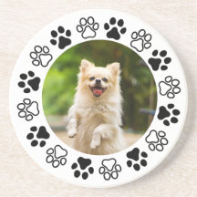 Kostnadsfri hund hund porträtt