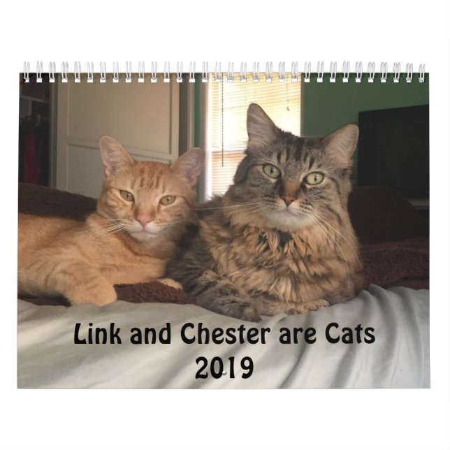 Kostymerad kalender för katter 2019 (Omslag)