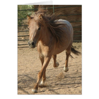 Kota run hälsningskort