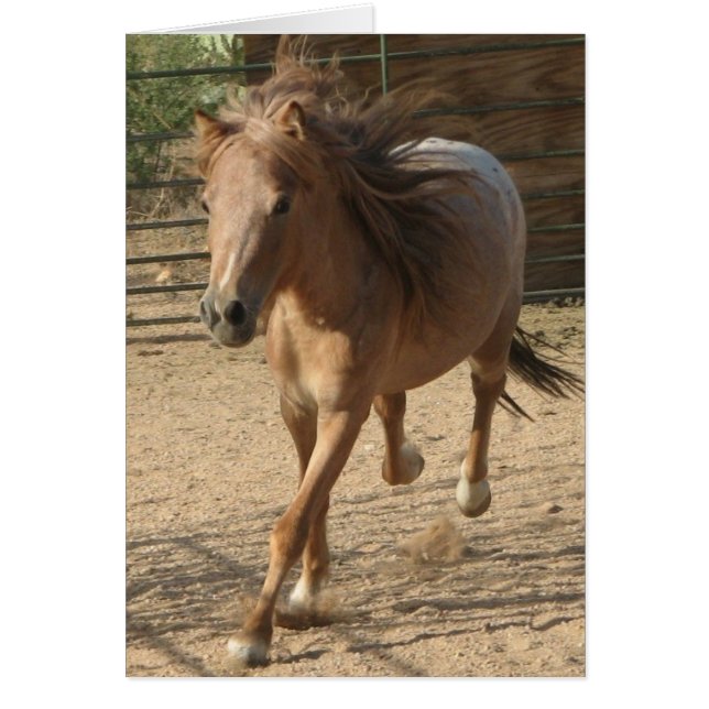 Kota run hälsningskort (Framsidan)