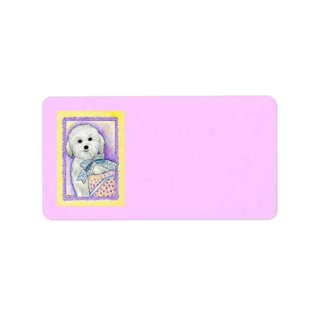 Koton de Tulear Address Label Adressetikett (Framsidan)