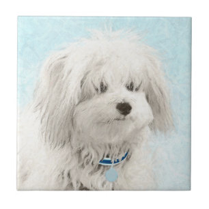 Koton de Tulear Painting - Cute Original Hund Art Kakelplatta