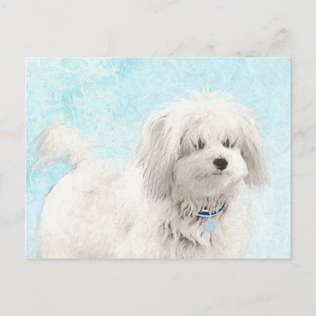 Koton de Tulear Painting - Cute Original Hund Art Vykort (Framsida)