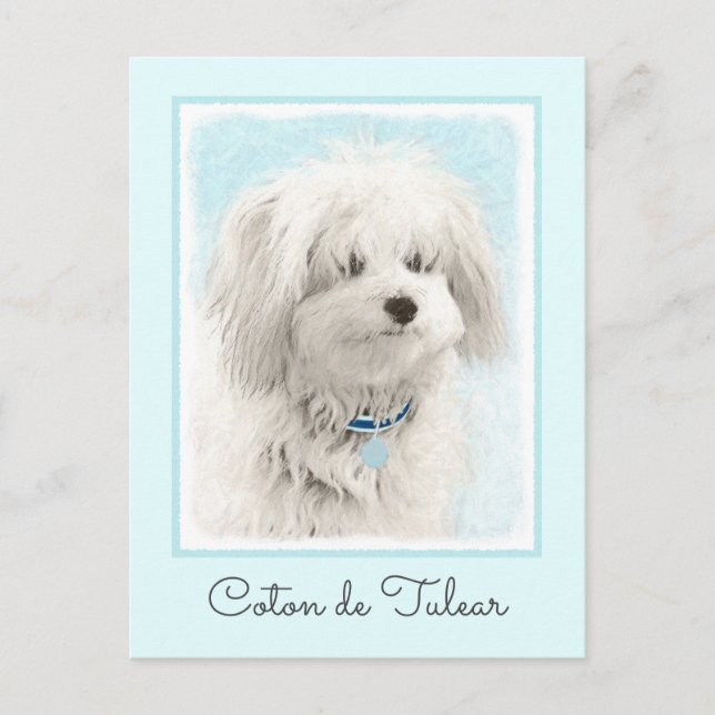Koton de Tulear Painting - Cute Original Hund Art Vykort (Framsida)