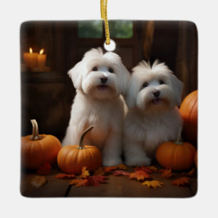 Koton De Tulear Puppy Autumn Delight Pumpkin Julgransprydnad Keramik