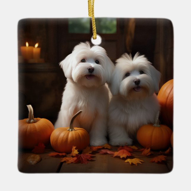 Koton De Tulear Puppy Autumn Delight Pumpkin Julgransprydnad Keramik (Framsida)