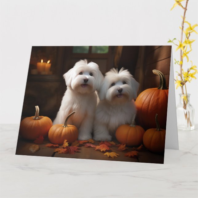 Koton De Tulear Puppy Autumn Delight Pumpkin Kort (Gul blomma)