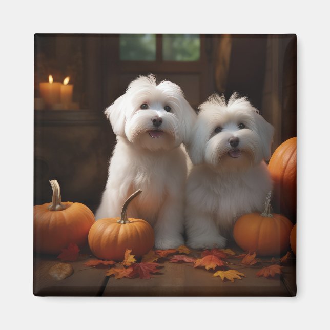 Koton De Tulear Puppy Autumn Delight Pumpkin Magnet (Framsidan)