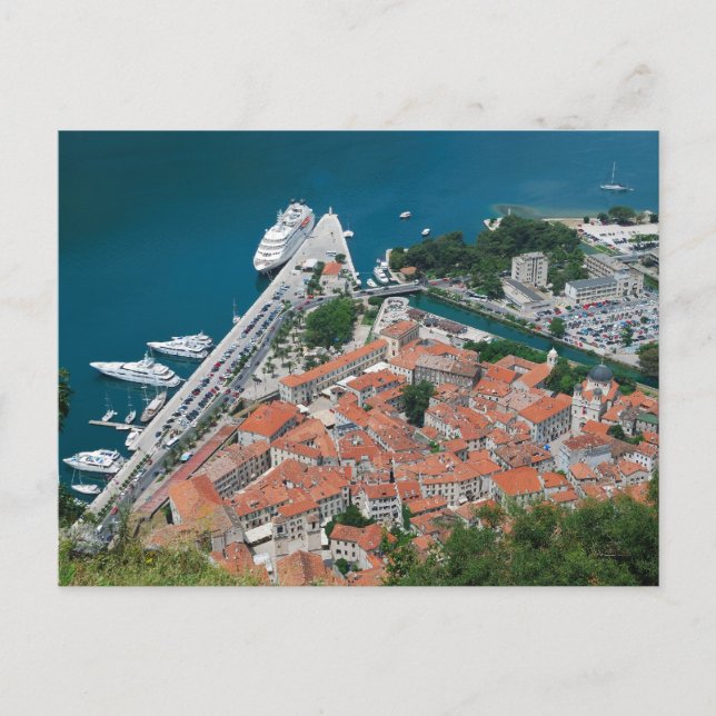 Kotor i Montenegro Postcard Vykort (Framsida)