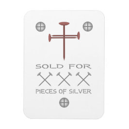 Kött för 30 Delar i Silver Magnet