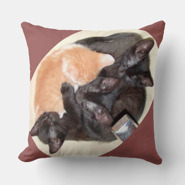 Kött Katt 37 kvadratmeter Dekorativ kudde (Framsida)