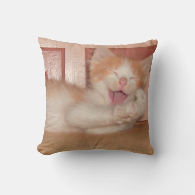 Kött Katt 7 Dekorativ kudde (Framsida)