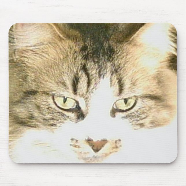 Kött - katter 14 Mousepad Musmatta (Framsidan)