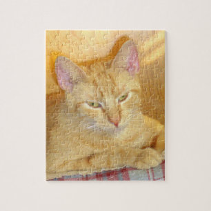 Kött Katter 15 Pussel