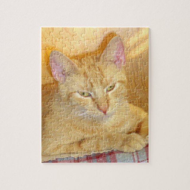 Kött Katter 15 Pussel (Vertikal)