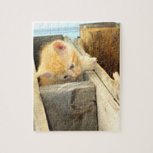 Kött Katter 1 Pussel (Vertikal)