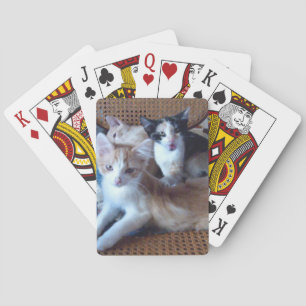 Kött - katter 21 Uppspelningskort Spel Kort