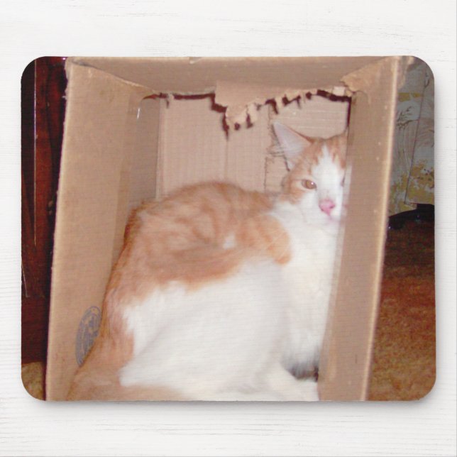 Kött - katter 31 Mousepad Musmatta (Framsidan)
