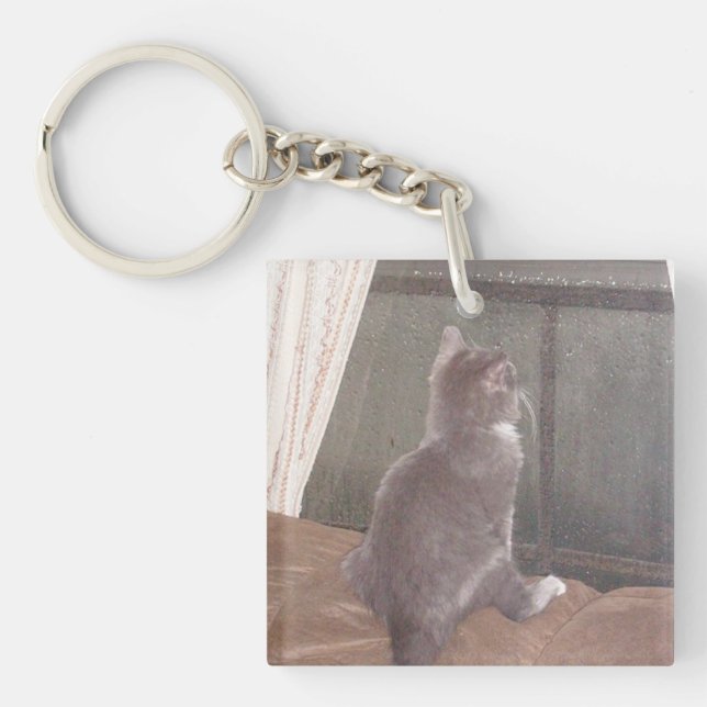 Kött katter med 11 Dubblors sidig akryl Nyckelring (Framsidan)