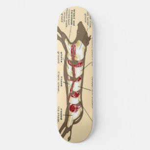 Kött stiger ombord Mobber Mini Skateboard Bräda 18,7 Cm