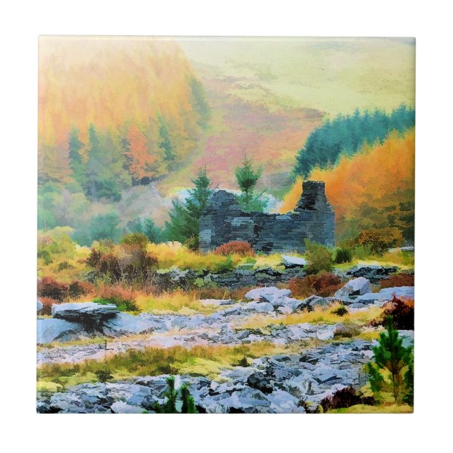 KOTTAGES WALES KAKELPLATTA (Framsidan)