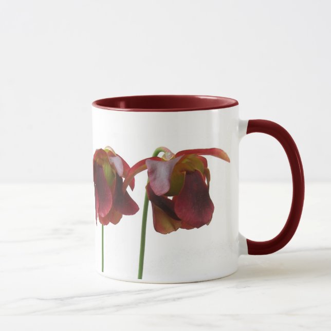 Köttätande växters blommor mugg (Höger)