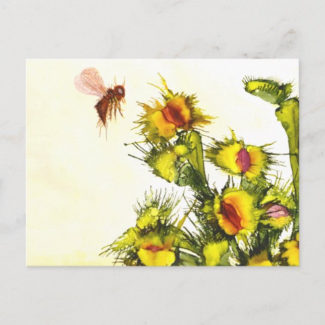 "Köttätande" vykort (Framsida)