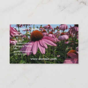 Kotteblommavisitkort Visitkort