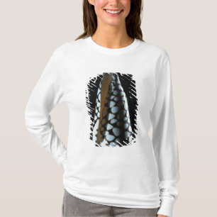 Kottesnäcka 2 t-shirt