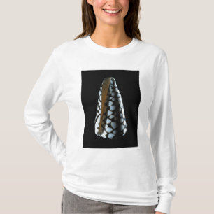 Kottesnäcka 2 tee