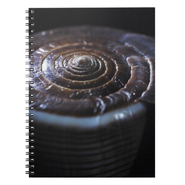 Kottesnäcka Anteckningsbok Med Spiral (Framsidan)