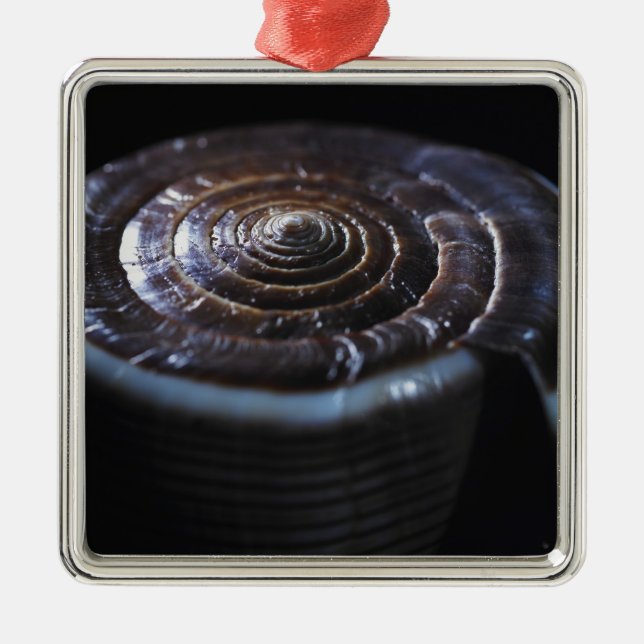 Kottesnäcka Julgransprydnad Metall (Framsidan)