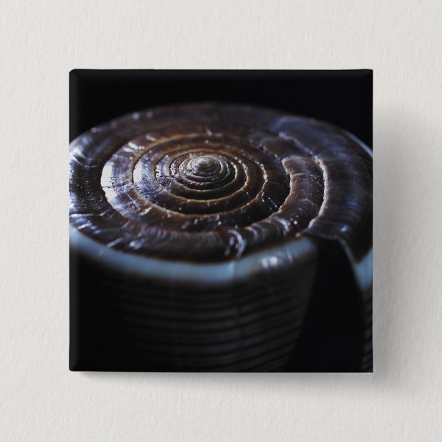 Kottesnäcka Knapp (Framsida)