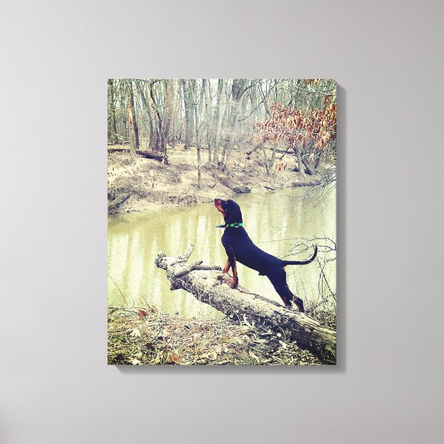 Kottråd vid floden canvas (Framsida)