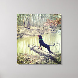 Kottråd vid floden canvas