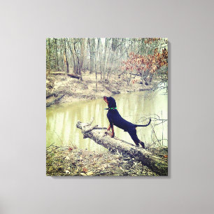Kottråd vid floden canvas