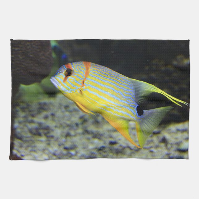 Kötttorn av fisk kökshandduk (Horisontell)