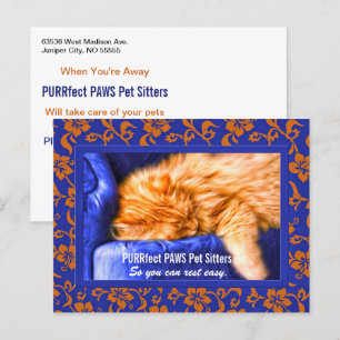 Kouch Kattunge Anpassningsbar Pet Sitters reklam P Vykort