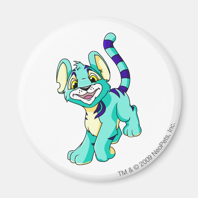 Kougra Blue Magnet (Framsidan)