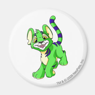 Kougra grönt magnet