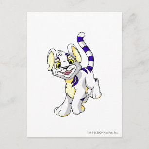 Kougra White Vykort